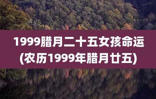 1999腊月二十五女孩命运(农历1999年腊月廿五)