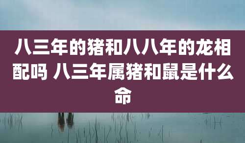 八三年的猪和八八年的龙相配吗 八三年属猪和鼠是什么命