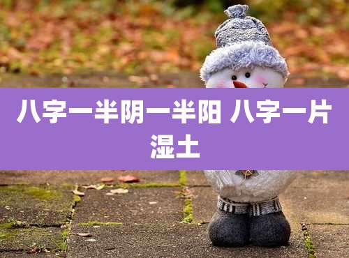 八字一半阴一半阳 八字一片湿土