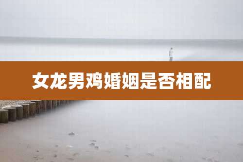 女龙男鸡婚姻是否相配