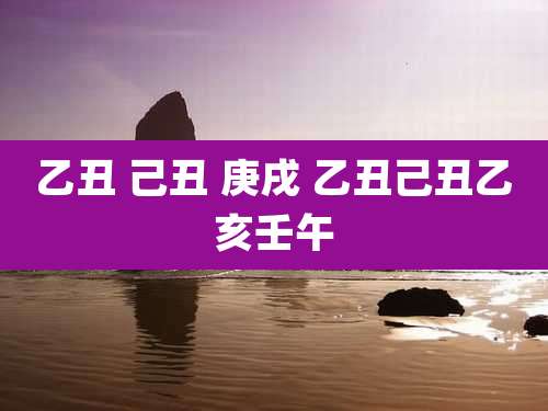 乙丑 己丑 庚戌 乙丑己丑乙亥壬午