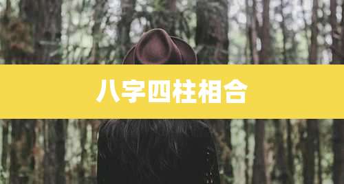 八字四柱相合