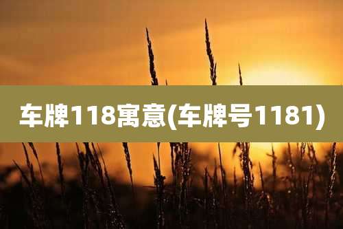 车牌118寓意(车牌号1181)