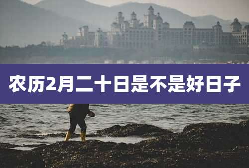 农历2月二十日是不是好日子