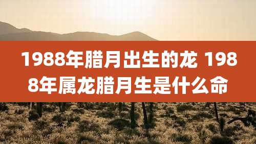 1988年腊月出生的龙 1988年属龙腊月生是什么命