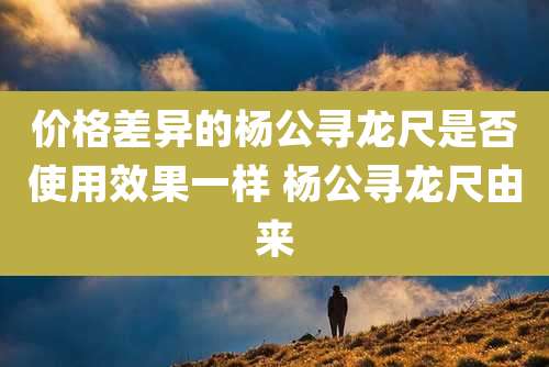 价格差异的杨公寻龙尺是否使用效果一样 杨公寻龙尺由来