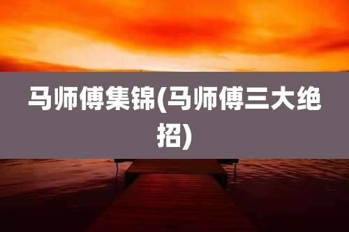 马师傅集锦(马师傅三大绝招)