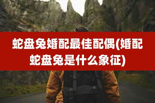 蛇盘兔婚配最佳配偶(婚配蛇盘兔是什么象征)