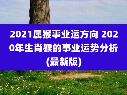 2021属猴事业运方向 2020年生肖猴的事业运势分析(最新版)