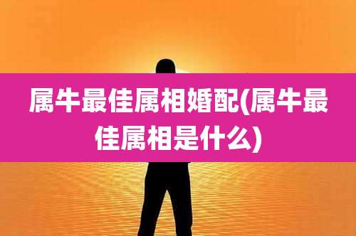 属牛最佳属相婚配(属牛最佳属相是什么)