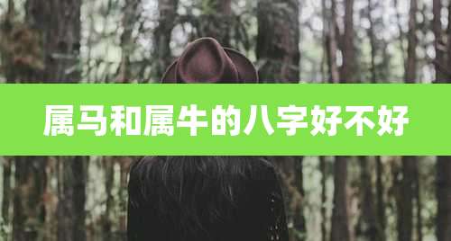 属马和属牛的八字好不好