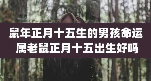 鼠年正月十五生的男孩命运 属老鼠正月十五出生好吗