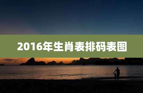 2016年生肖表排码表图