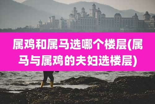 属鸡和属马选哪个楼层(属马与属鸡的夫妇选楼层)