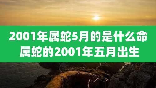 2001年属蛇5月的是什么命 属蛇的2001年五月出生