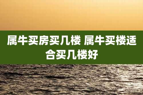 属牛买房买几楼 属牛买楼适合买几楼好