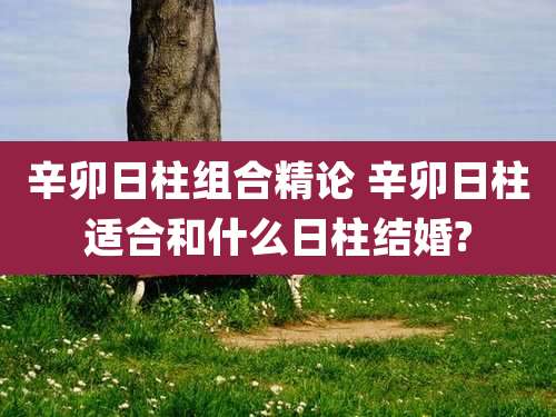 辛卯日柱组合精论 辛卯日柱适合和什么日柱结婚?