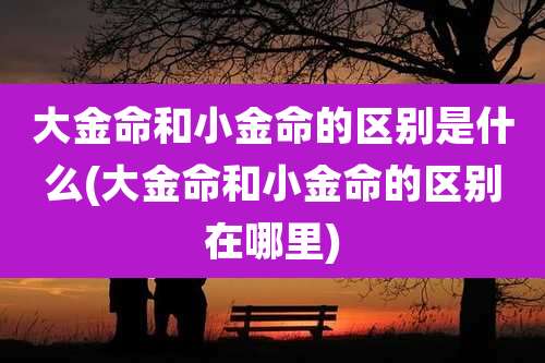 大金命和小金命的区别是什么(大金命和小金命的区别在哪里)