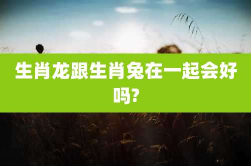 生肖龙跟生肖兔在一起会好吗?