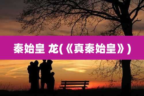 秦始皇 龙(《真秦始皇》)