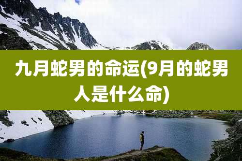 九月蛇男的命运(9月的蛇男人是什么命)