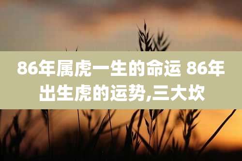 86年属虎一生的命运 86年出生虎的运势,三大坎