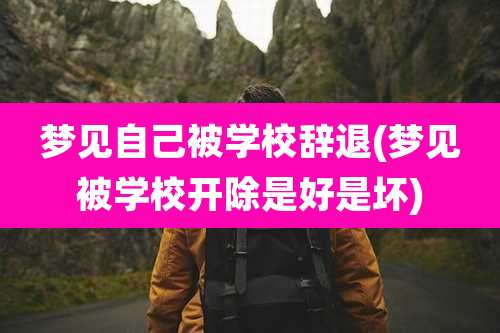 梦见自己被学校辞退(梦见被学校开除是好是坏)