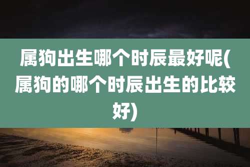 属狗出生哪个时辰最好呢(属狗的哪个时辰出生的比较好)