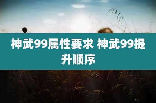 神武99属性要求 神武99提升顺序