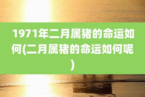 1971年二月属猪的命运如何(二月属猪的命运如何呢)