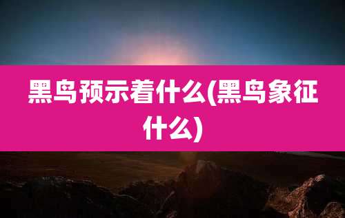 黑鸟预示着什么(黑鸟象征什么)