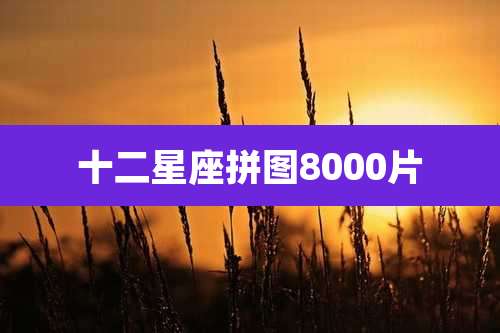 十二星座拼图8000片