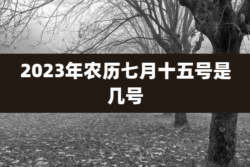 2023年农历七月十五号是几号