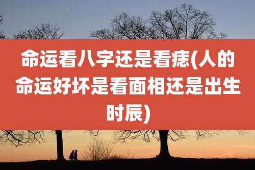 命运看八字还是看痣(人的命运好坏是看面相还是出生时辰)