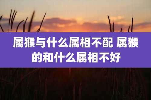 属猴与什么属相不配 属猴的和什么属相不好