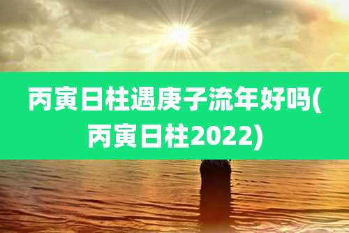 丙寅日柱遇庚子流年好吗(丙寅日柱2022)