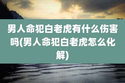 男人命犯白老虎有什么伤害吗(男人命犯白老虎怎么化解)