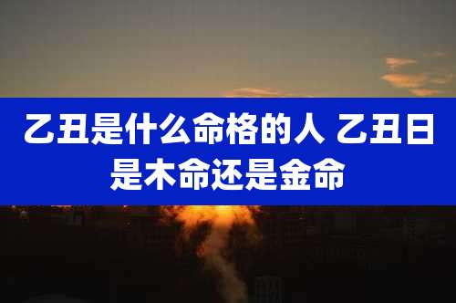 乙丑是什么命格的人 乙丑日是木命还是金命