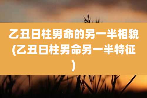 乙丑日柱男命的另一半相貌(乙丑日柱男命另一半特征)