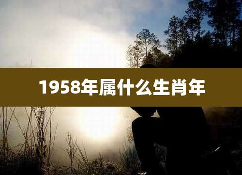 1958年属什么生肖年