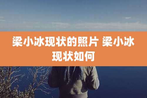 梁小冰现状的照片 梁小冰现状如何