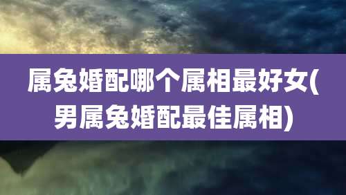 属兔婚配哪个属相最好女(男属兔婚配最佳属相)