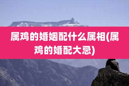 属鸡的婚姻配什么属相(属鸡的婚配大忌)