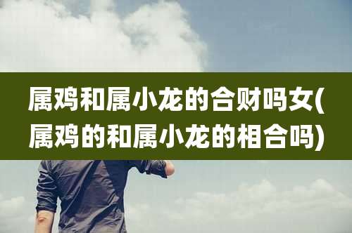 属鸡和属小龙的合财吗女(属鸡的和属小龙的相合吗)