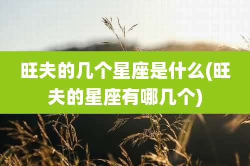 旺夫的几个星座是什么(旺夫的星座有哪几个)