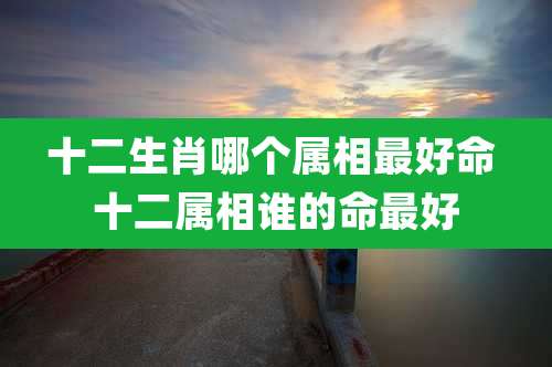十二生肖哪个属相最好命 十二属相谁的命最好