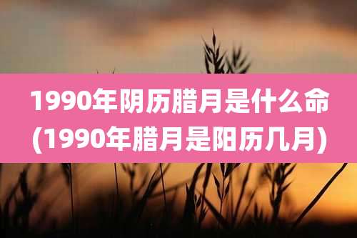 1990年阴历腊月是什么命(1990年腊月是阳历几月)
