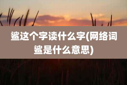 鲨这个字读什么字(网络词鲨是什么意思)