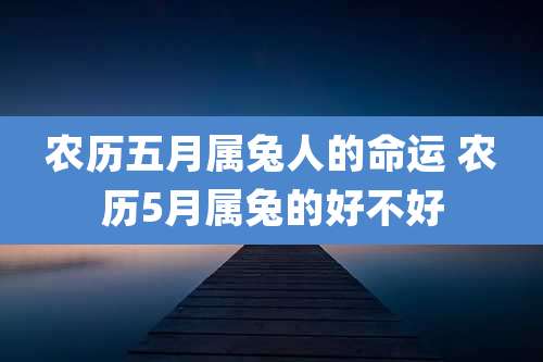农历五月属兔人的命运 农历5月属兔的好不好