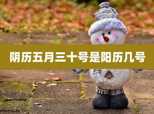 阴历五月三十号是阳历几号